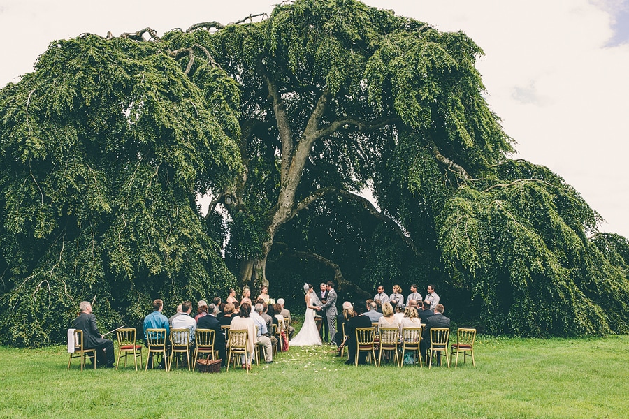 emily and paul got married under a tree in ireland