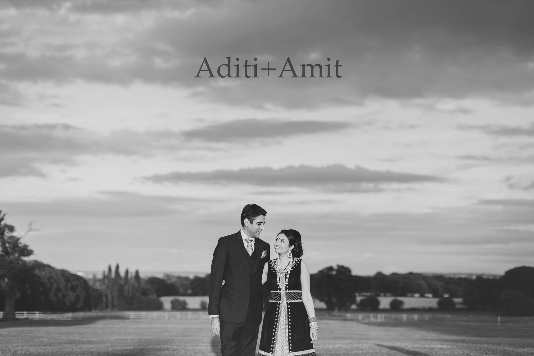 aditi and amits hindu wedding