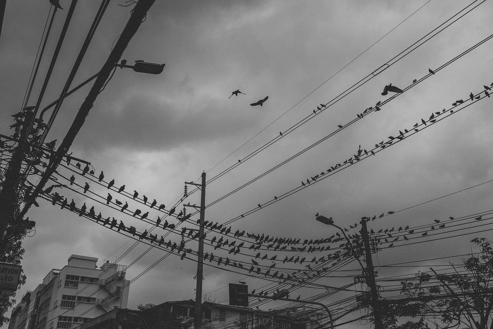 thailand travel photography