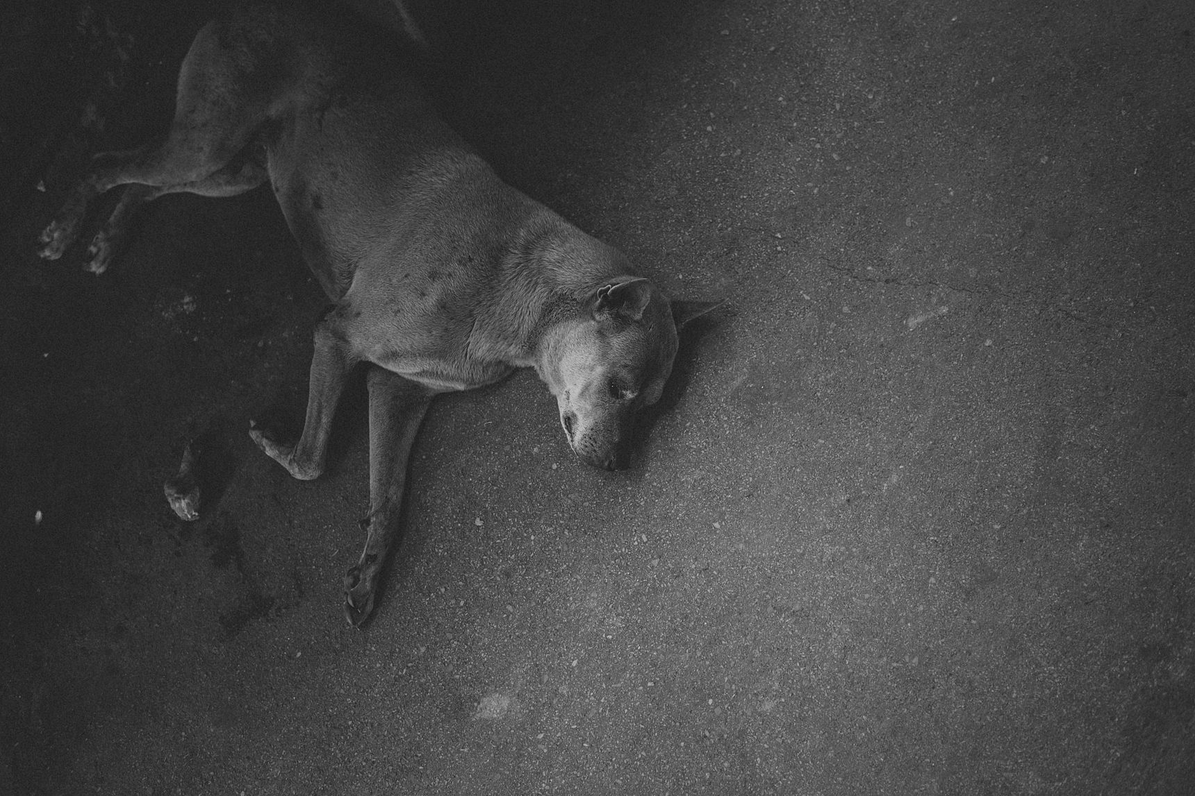 thailand holiday photos