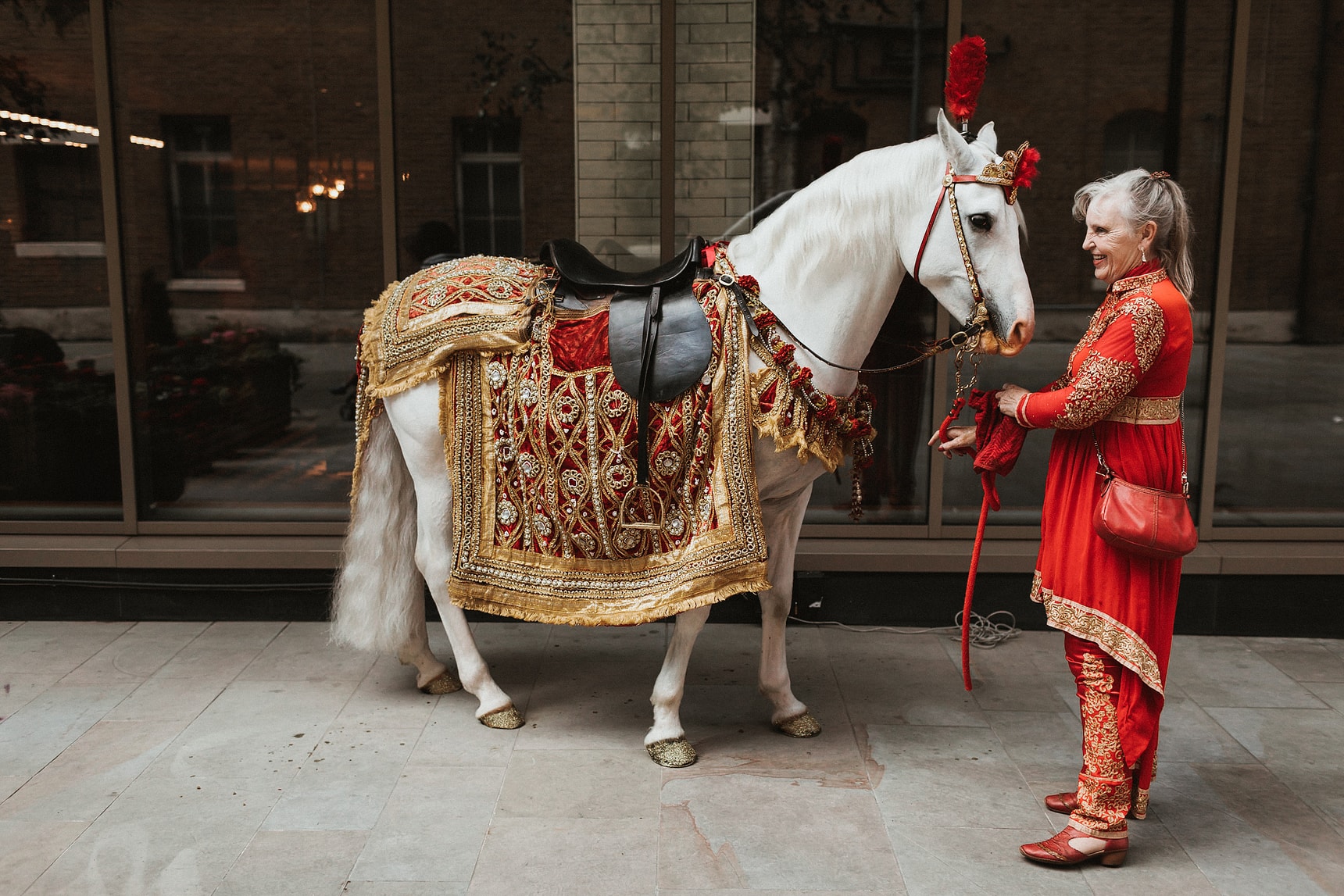 Horse at a Hindu wedding in London