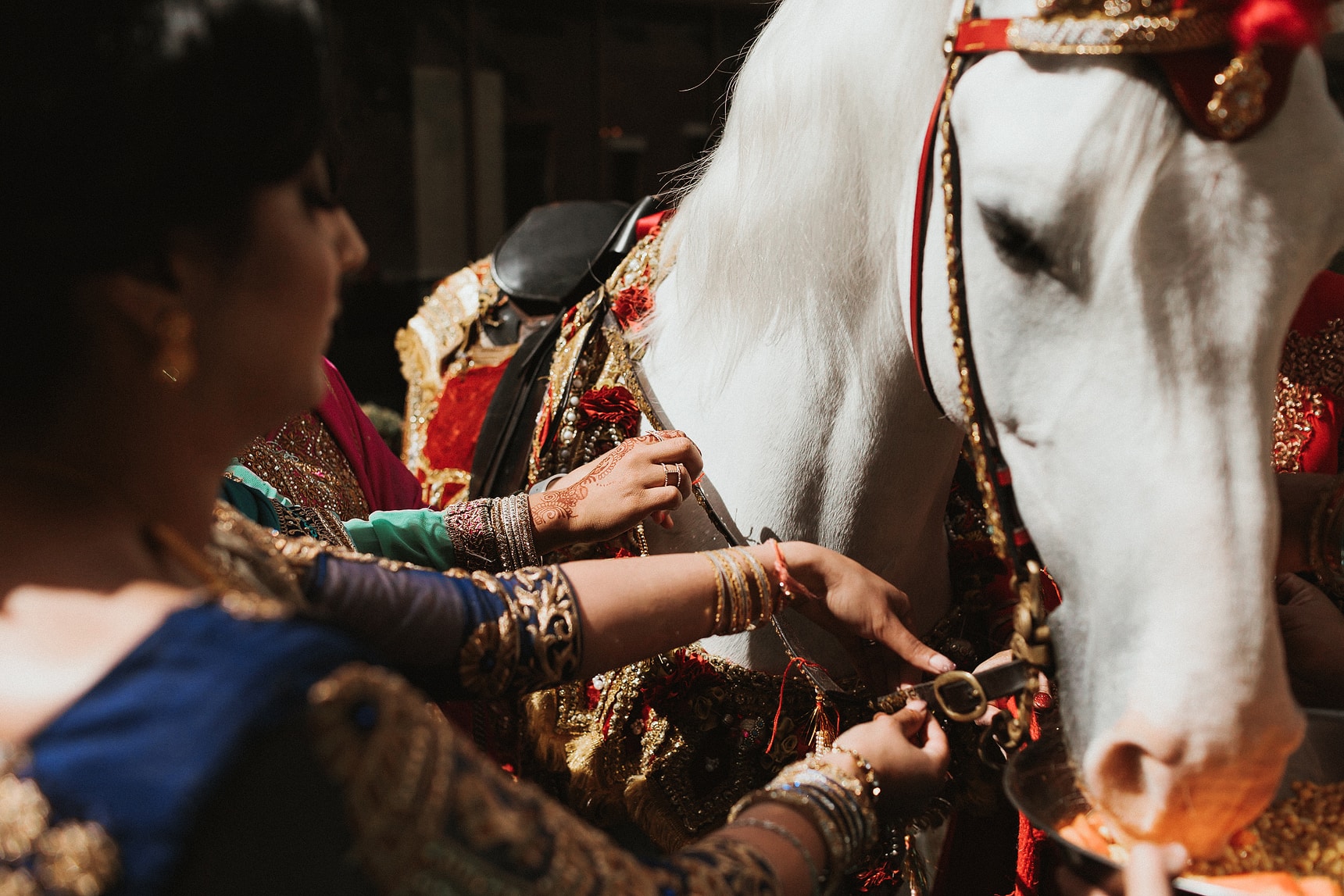 Horse in London during a Hindu wedding