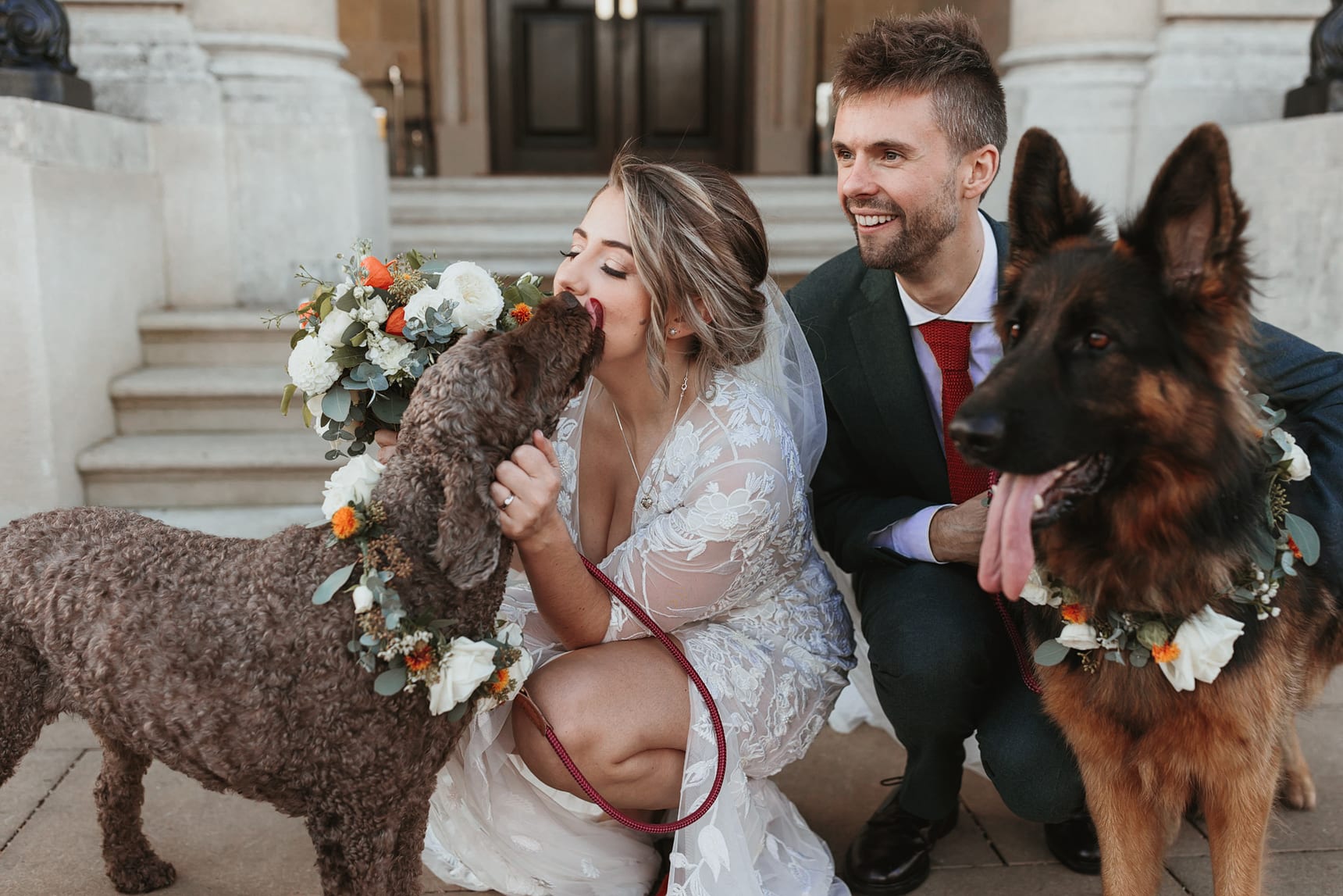 Photo of bride and groom with their two dogs